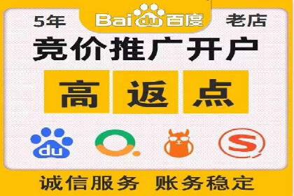 Sem优化公司案例：精准广告投放策略解析